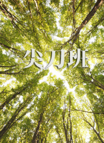 日韩免费专区